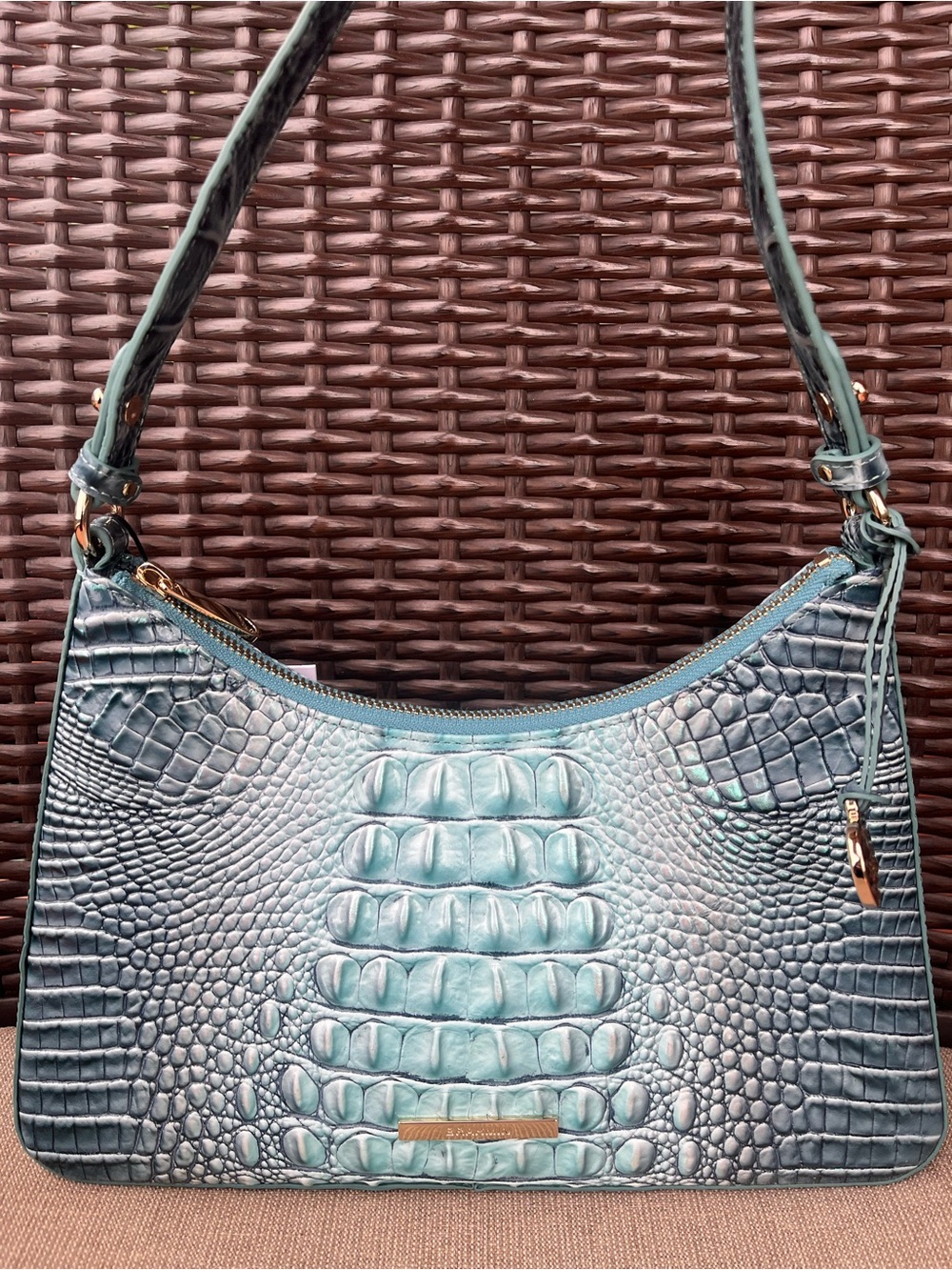NWT Brahmin ESME in SPEARMINT Melbourne Shoulder Bag
